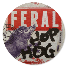 Hop Hog Feral Hop Hog beer coaster
